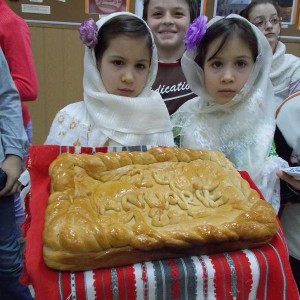 Vrancea-in-100